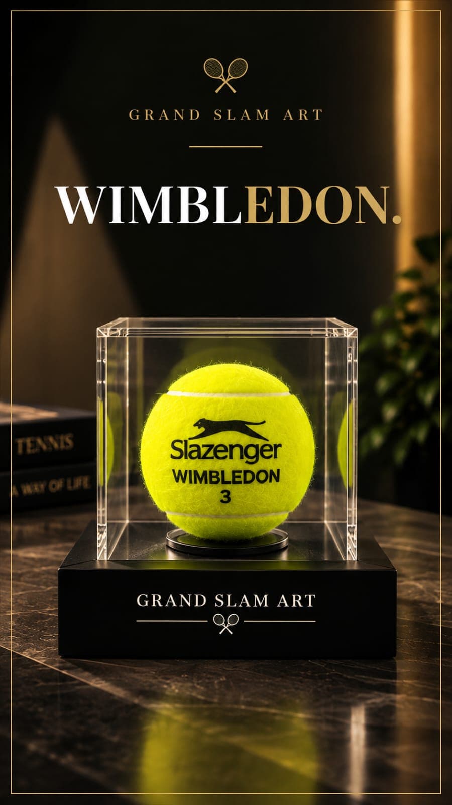 Expositor Individual Wimbledon